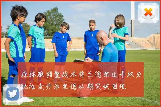 森林狼调整战术将兰德尔出手权分配给麦丹和里德以期突破困境