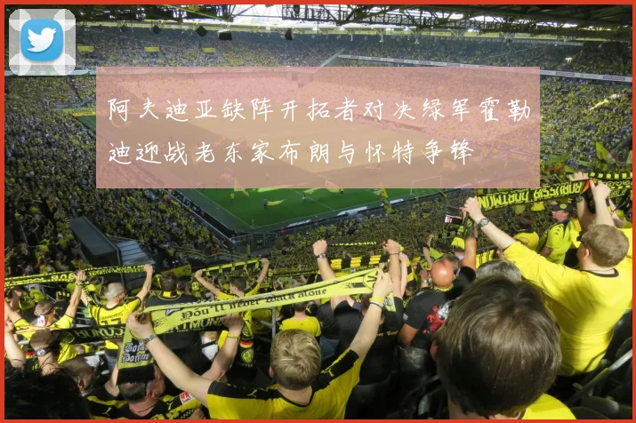 阿夫迪亚缺阵开拓者对决绿军霍勒迪迎战老东家布朗与怀特争锋