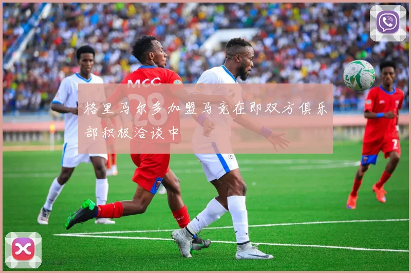 格里马尔多加盟马竞在即双方俱乐部积极洽谈中